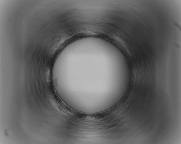 X0000103940596200809191149