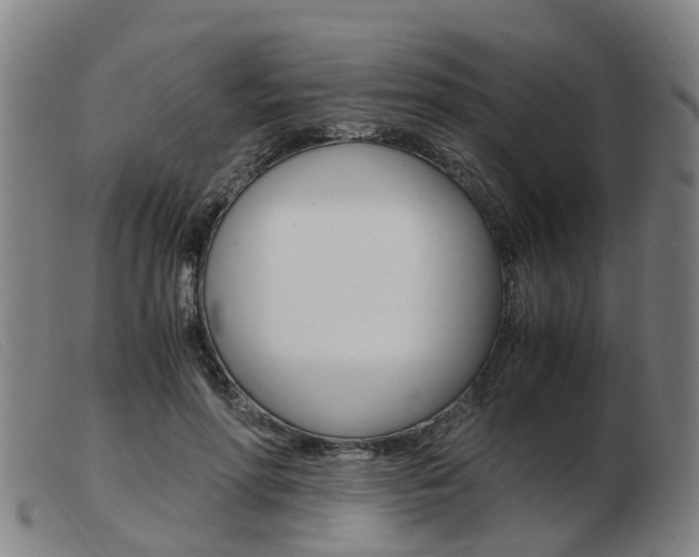 X0000103940598200809191149