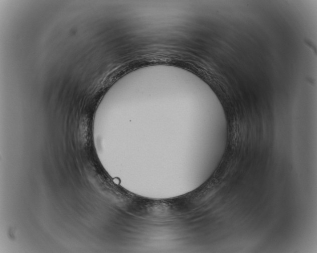 X0000103940600200809191149