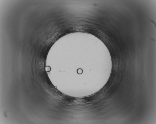 X0000103940603200809191149
