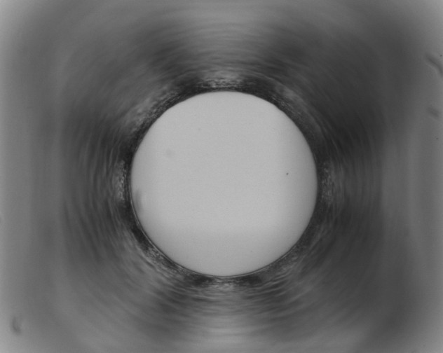 X0000103940604200809191149