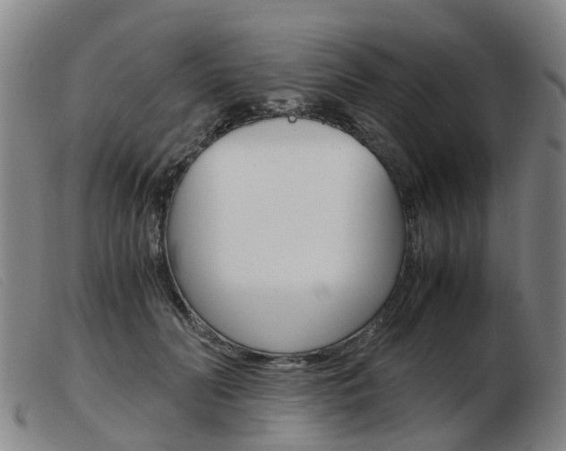 X0000103940606200809191149