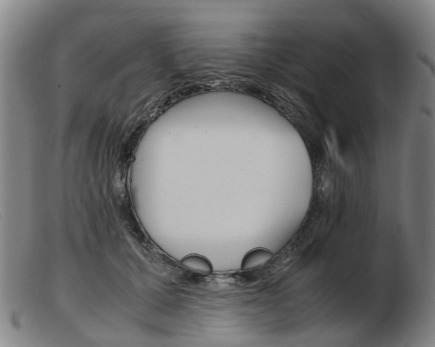X0000103940607200809191149