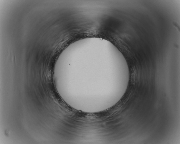 X0000103940608200809191149