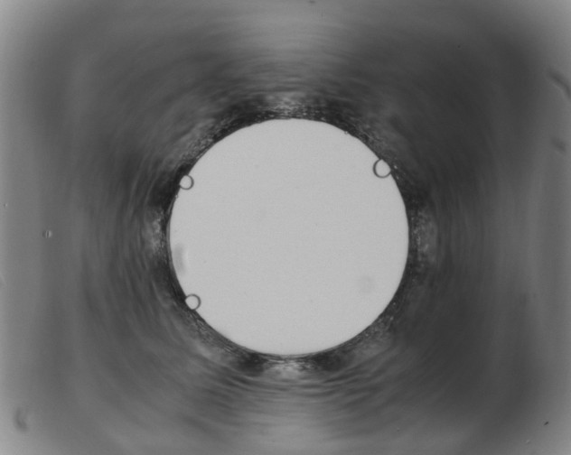 X0000103940611200809191149