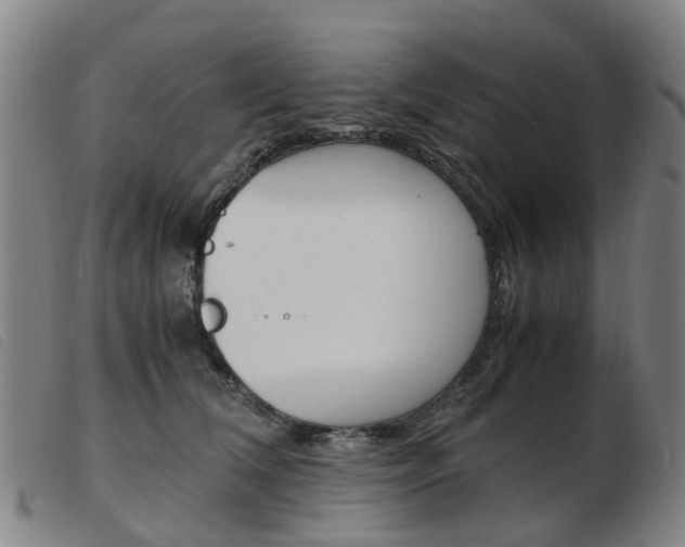 X0000103940612200809191149