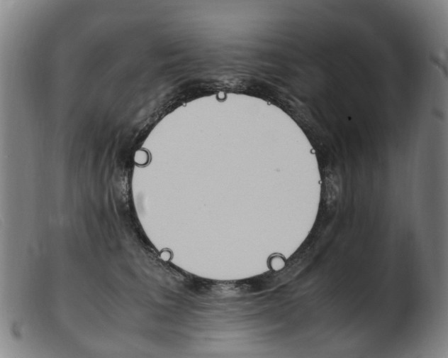 X0000103940613200809191149