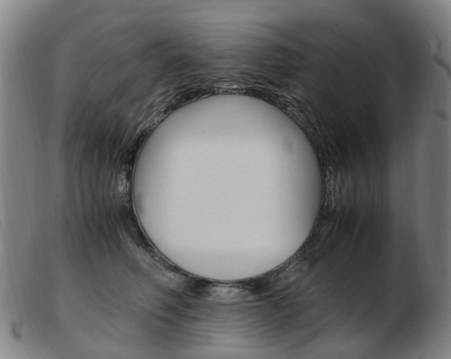 X0000103940614200809191149