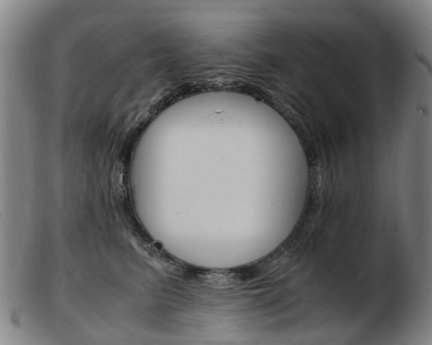 X0000103940615200809191149