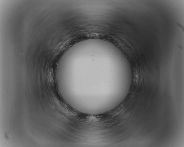 X0000103940616200809191149