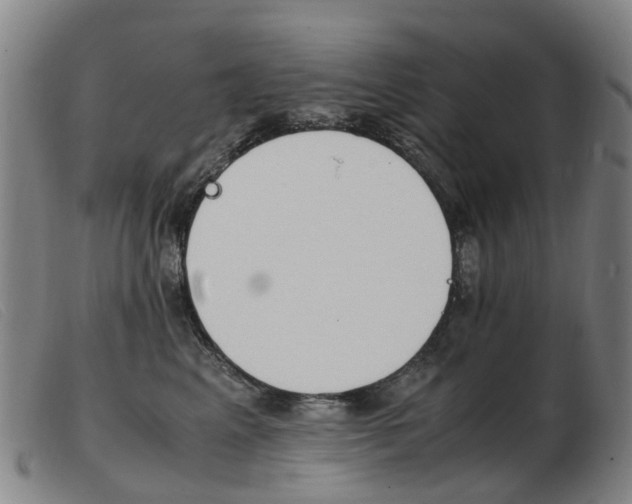 X0000103940617200809191149