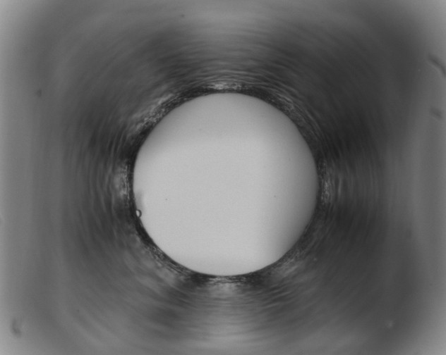 X0000103940620200809191149
