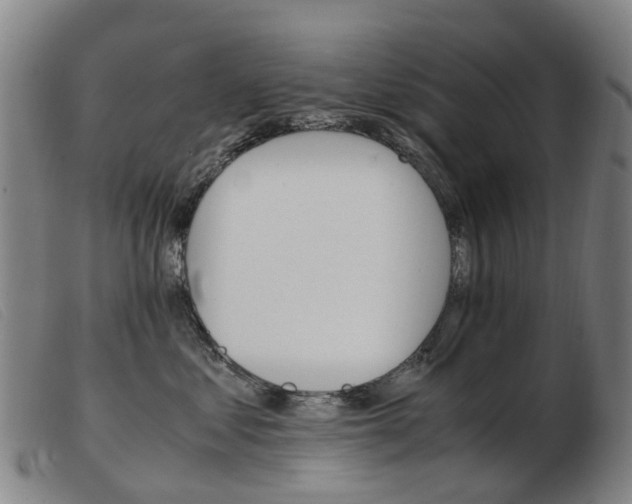 X0000103940621200809191149