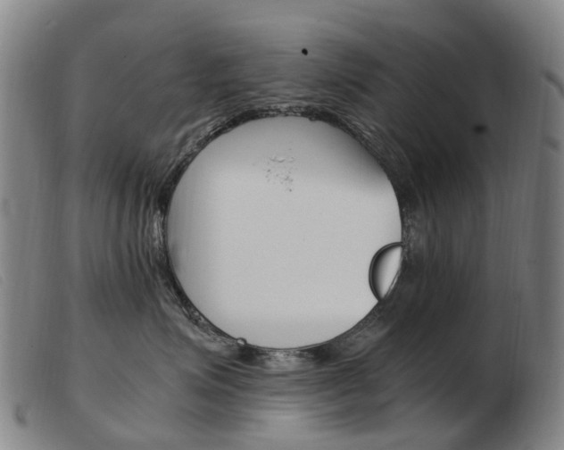 X0000103940623200809191149