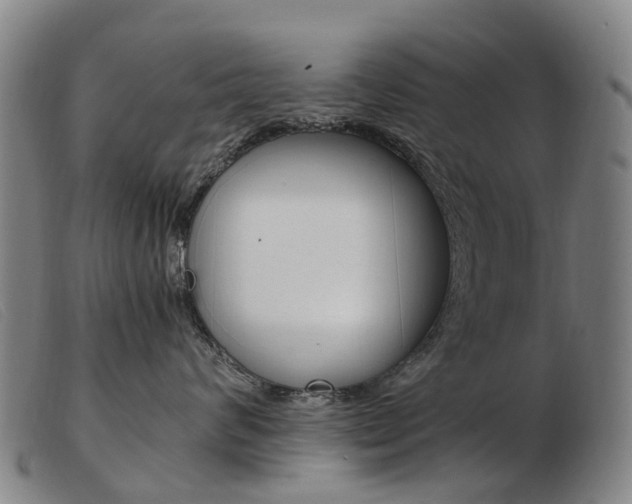 X0000103940624200809191149