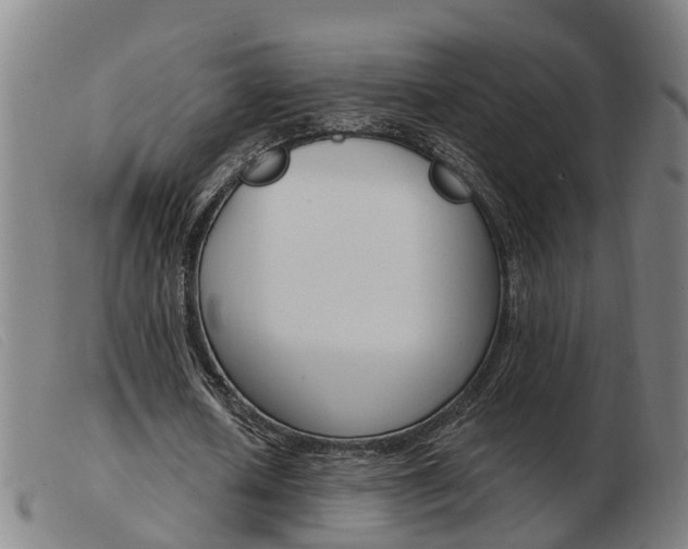 X0000103940626200809191148