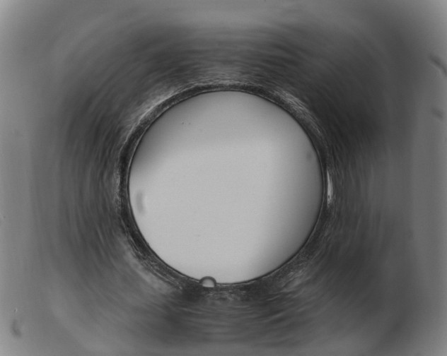 X0000103940627200809191148