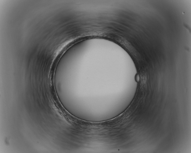X0000103940628200809191148