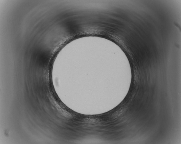 X0000103940629200809191148