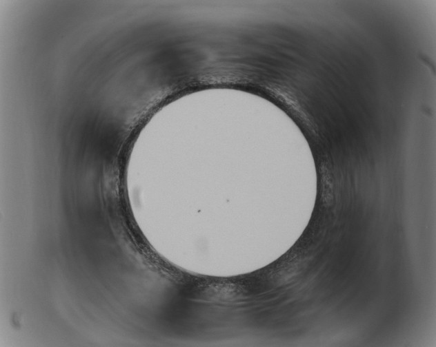 X0000103940631200809191148