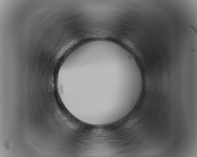 X0000103940634200809191148