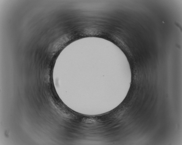 X0000103940635200809191148