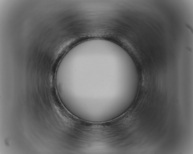 X0000103940636200809191148