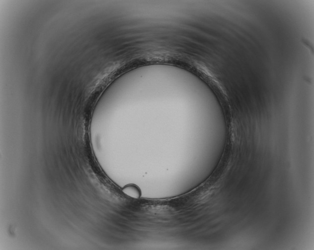 X0000103940637200809191148