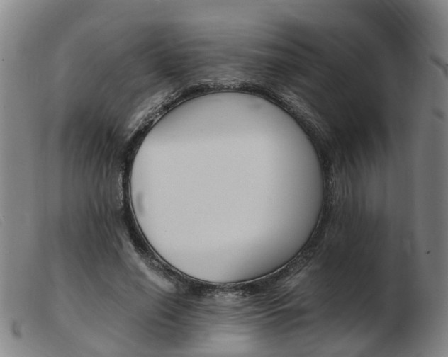 X0000103940638200809191148
