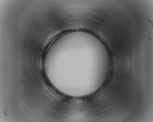 X0000103940640200809191148