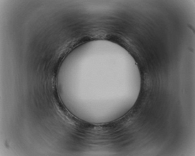 X0000103940641200809191149