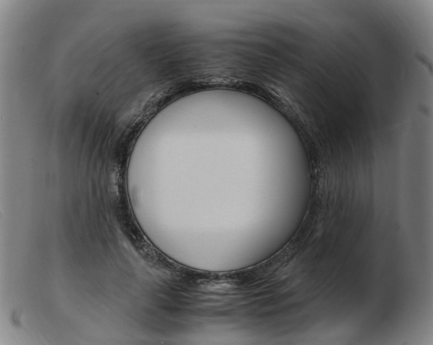 X0000103940643200809191149