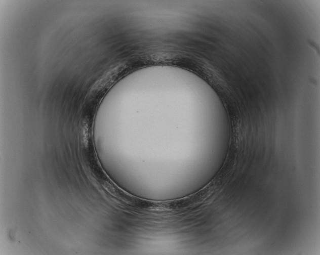 X0000103940644200809191149