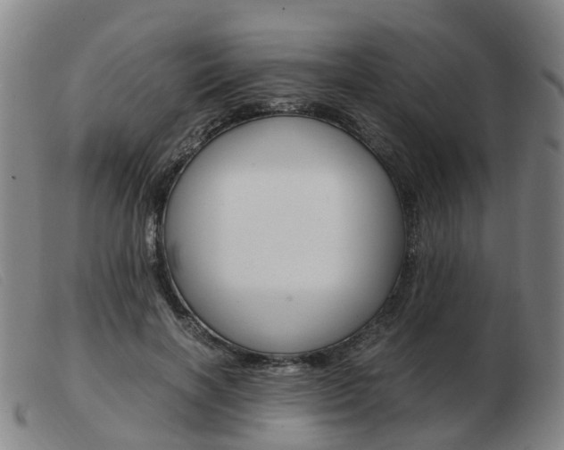 X0000103940646200809191149