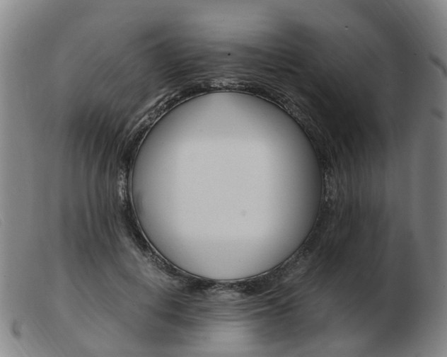 X0000103940648200809191149