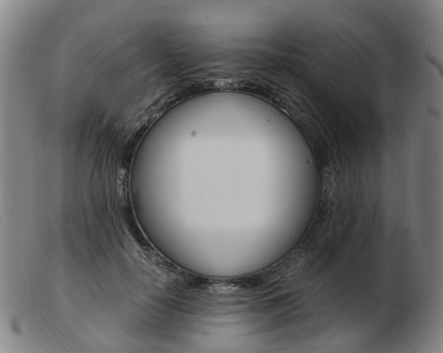 X0000103940650200809191149