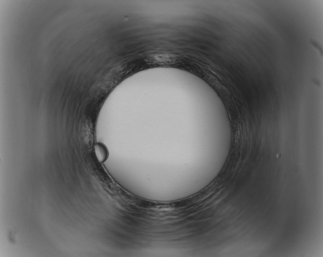 X0000103940651200809191149