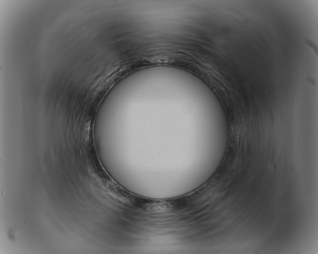 X0000103940652200809191149