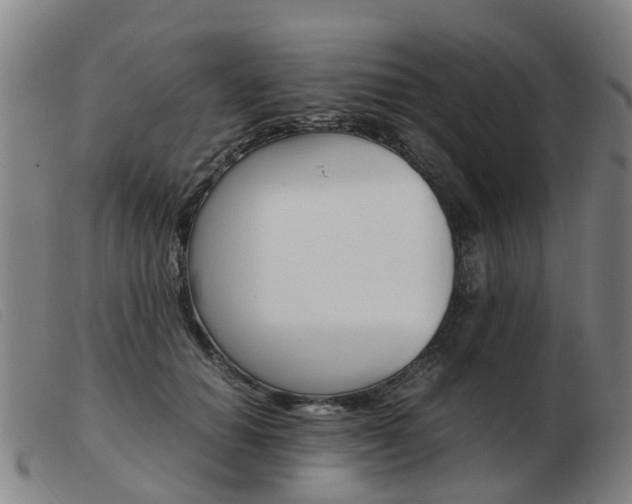 X0000103940654200809191149