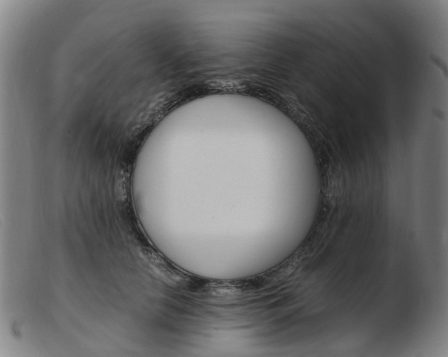 X0000103940658200809191149