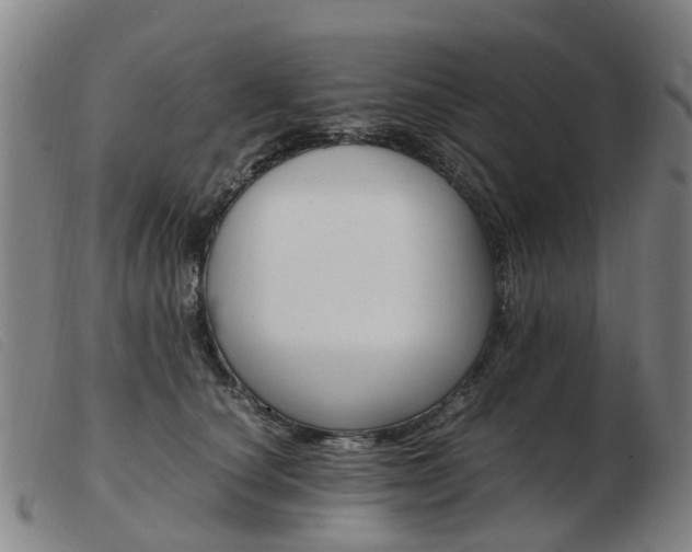 X0000103940660200809191149