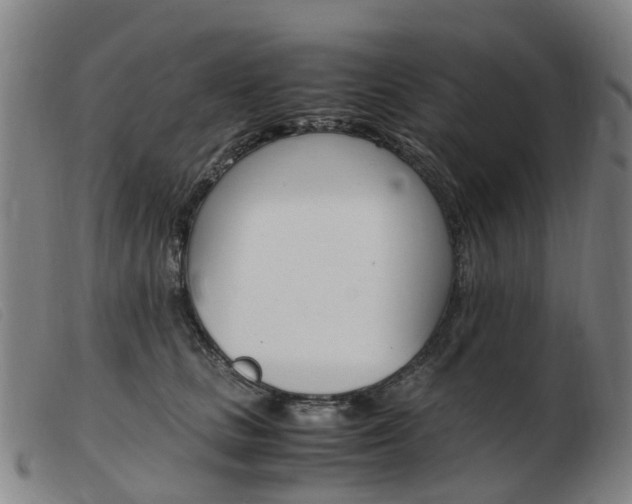 X0000103940661200809191149