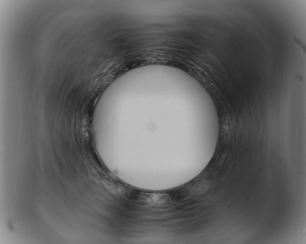 X0000103940663200809191149