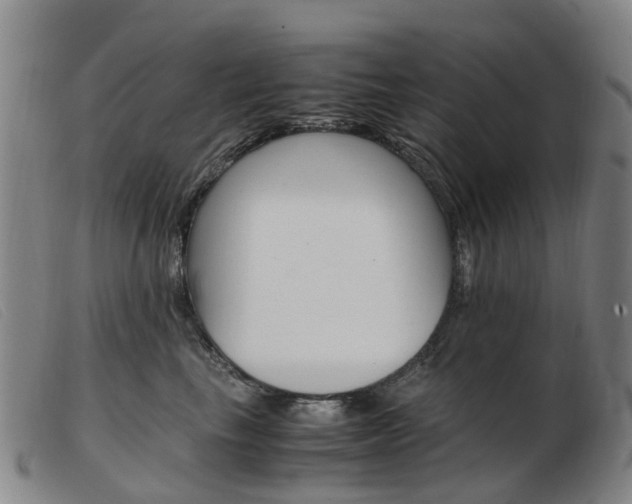 X0000103940665200809191149