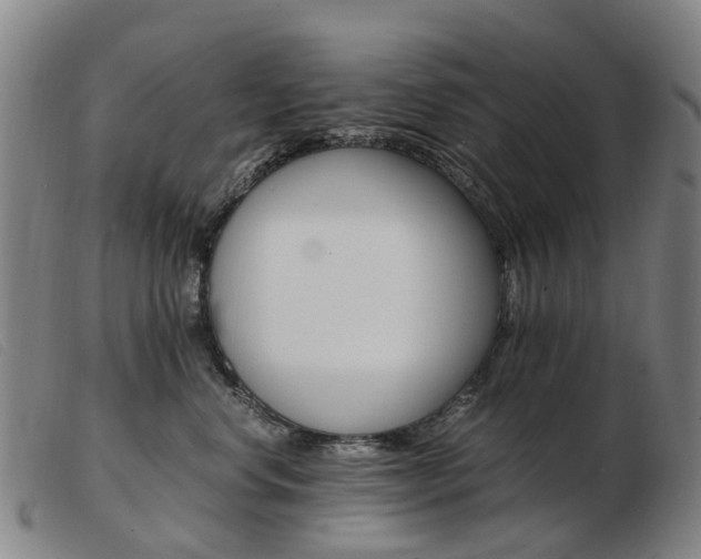 X0000103940668200809191149