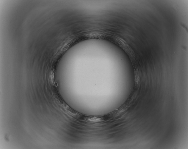 X0000103940669200809191149