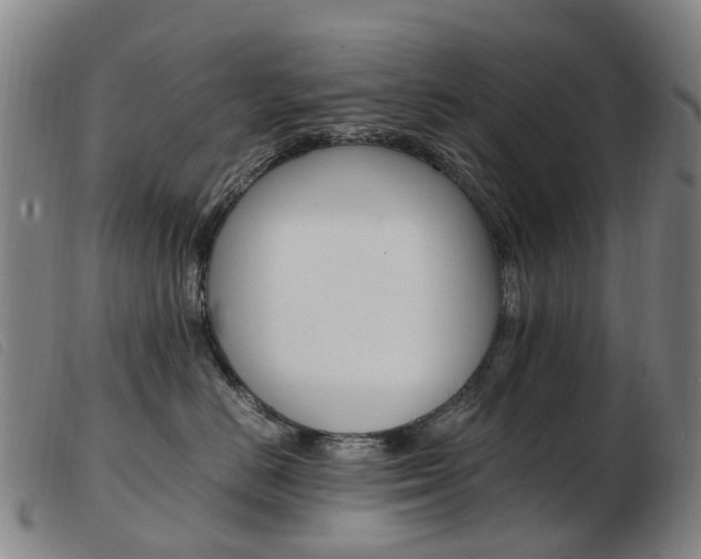 X0000103940670200809191149