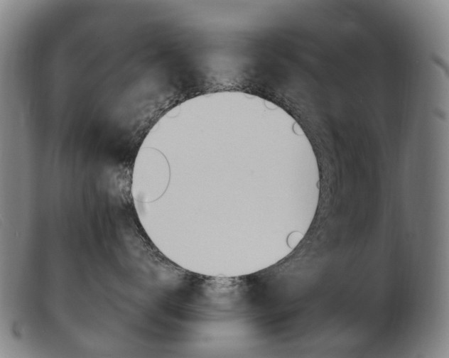 X0000103940672200809191149