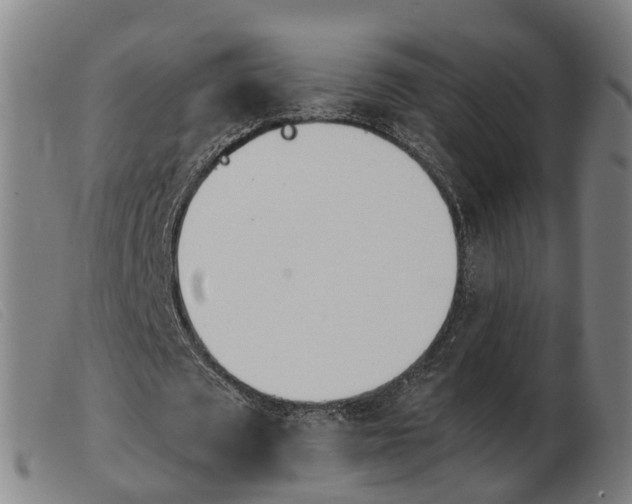 X0000103940673200809191148