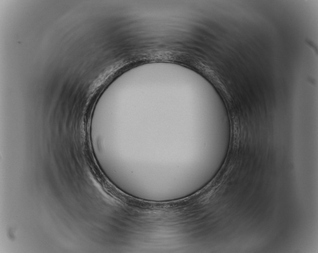 X0000103940674200809191148
